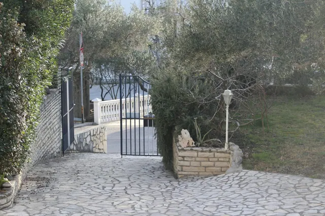 View from the garden